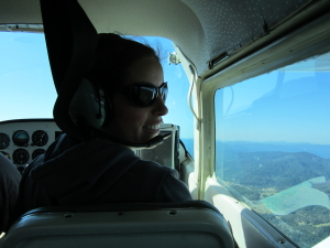 sage in plane