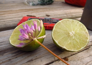 limes and wild onions