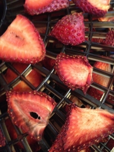 mmmm! Dried Strawberries for the trail