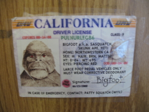 bigfoot ID