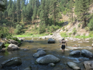 Wading the Payette to our first hot spring of the tour
