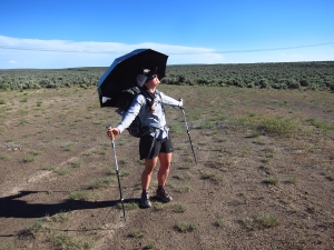 Sage on the Oregon Desert Trail Chrome Dome on the ODT
